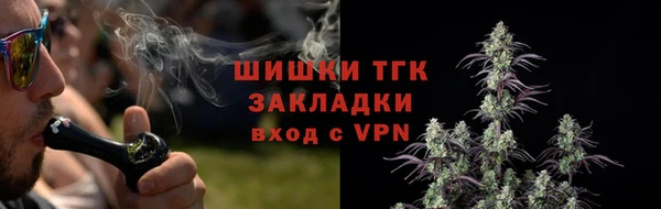 стаф Беломорск
