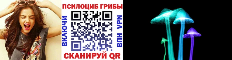 Галлюциногенные грибы MAGIC MUSHROOMS  где продают   Бузулук 