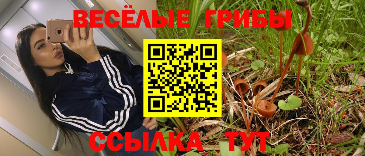 Галлюциногенные грибы Magic Shrooms Бузулук