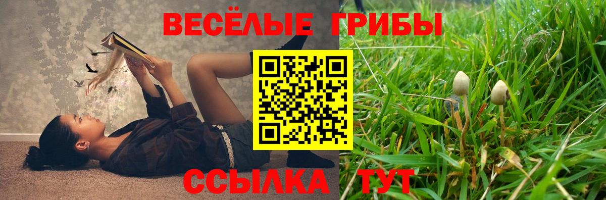 Псилоцибиновые грибы прущие грибы  Бузулук 