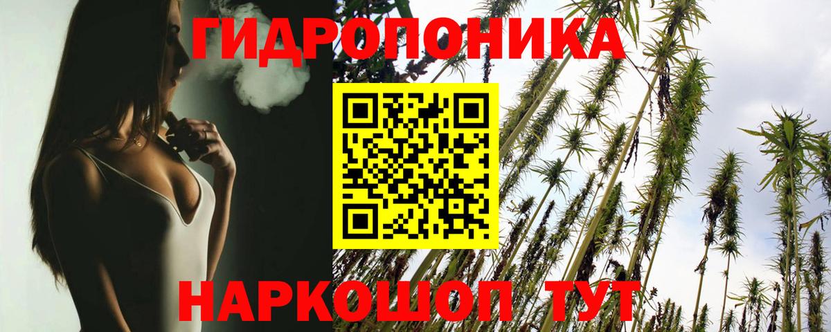 Бошки марихуана MAZAR Бузулук